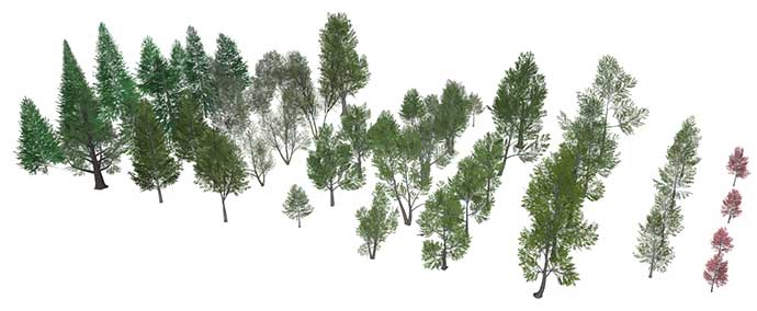 48 3D Trees for SketchUp